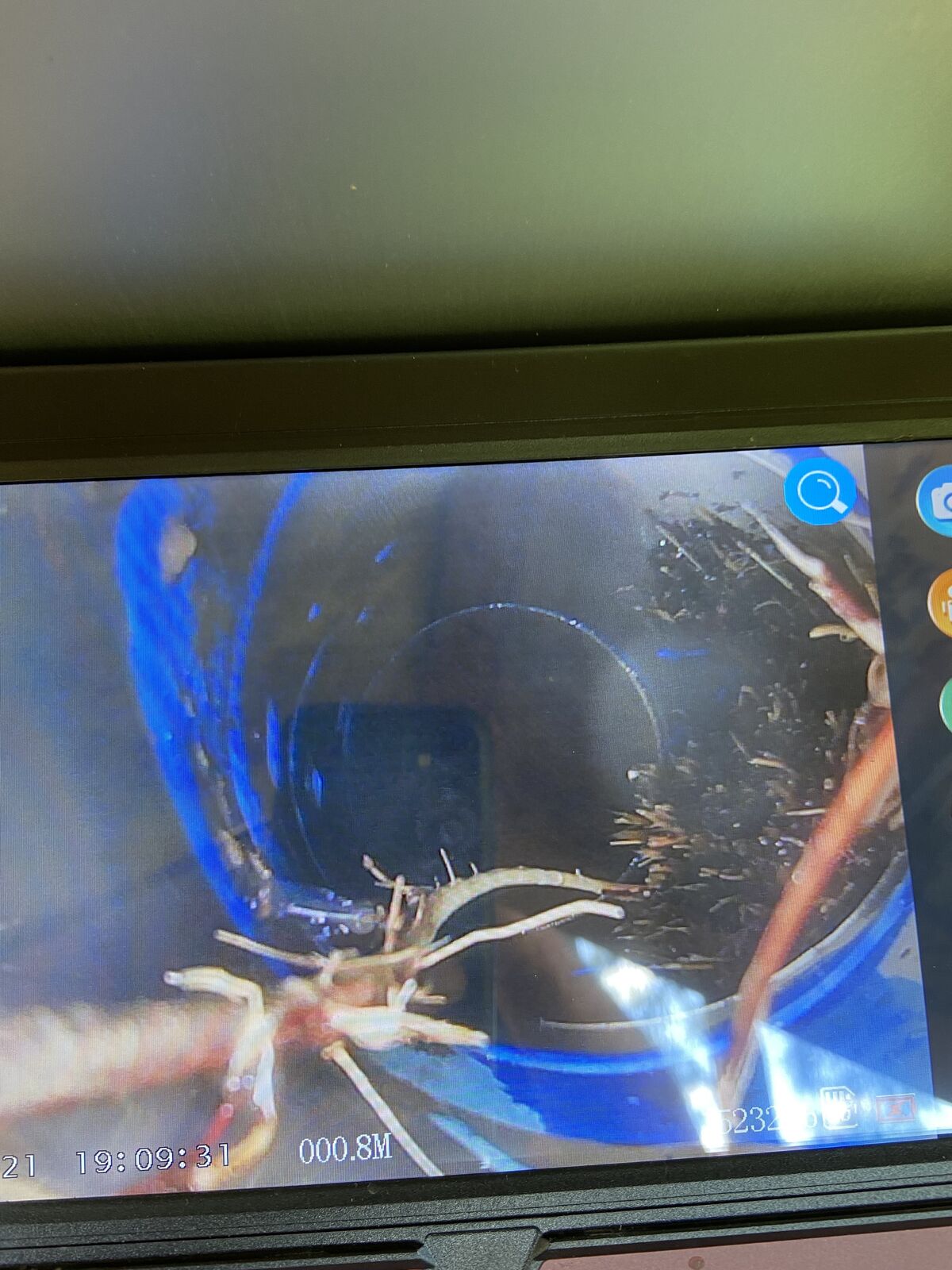 Camera footage: roots through a cracked clay joint